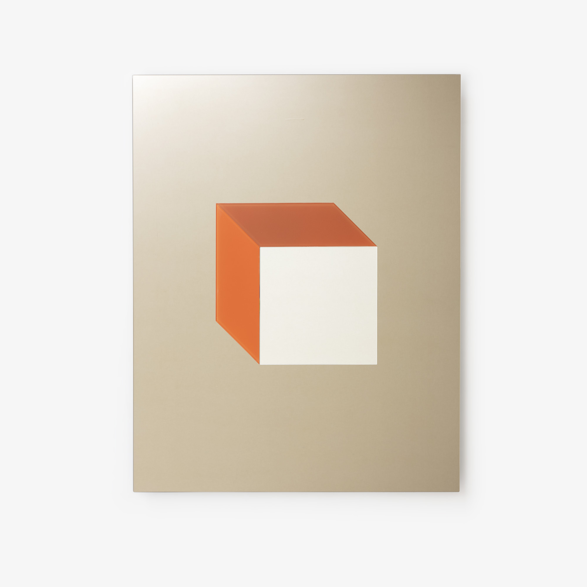 Image Mirror   1