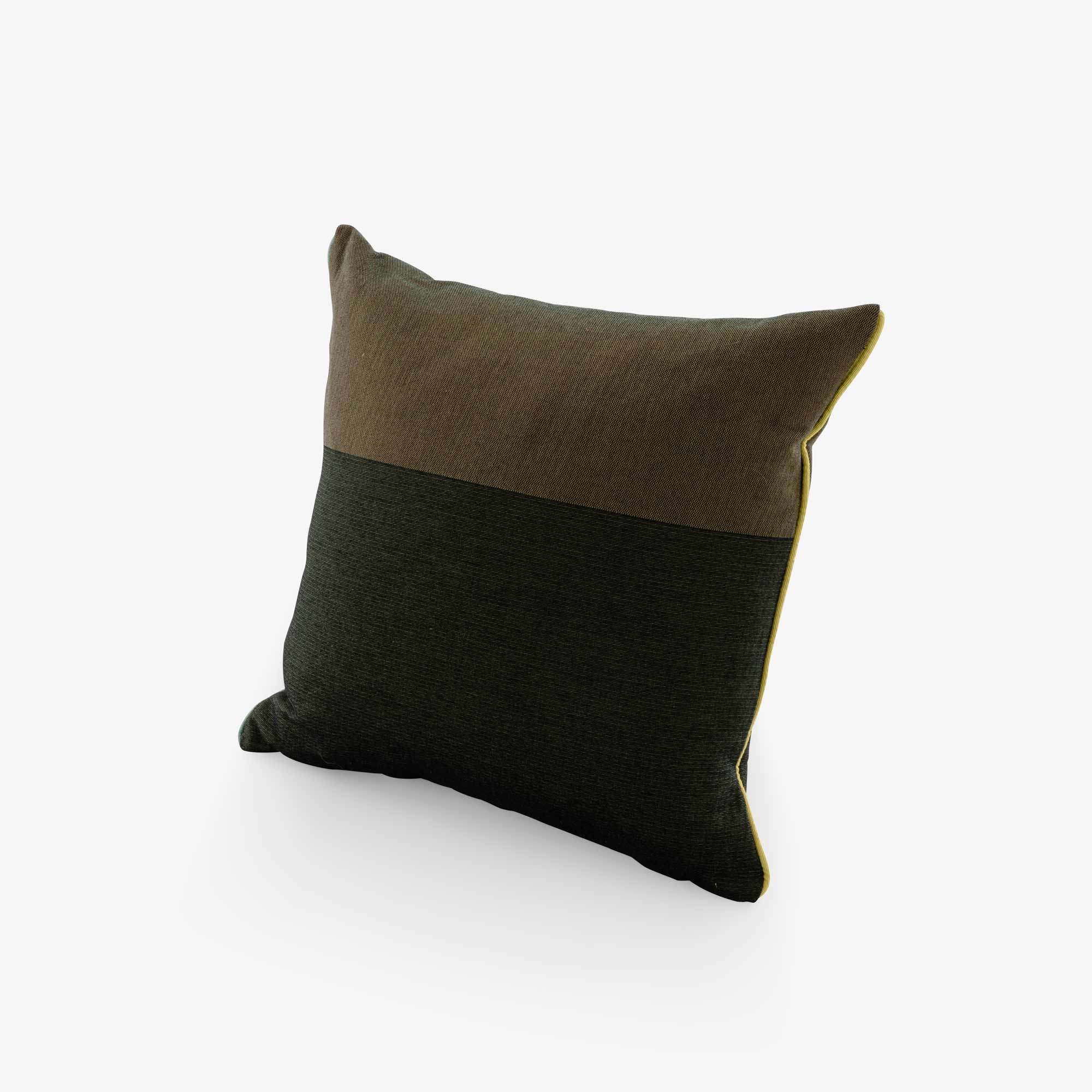 Image KISSEN KAKI / VERT 