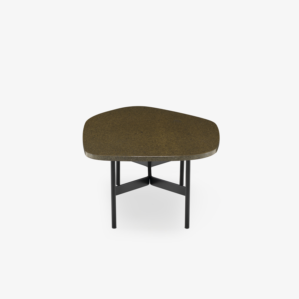 Image Low table large moss 3
