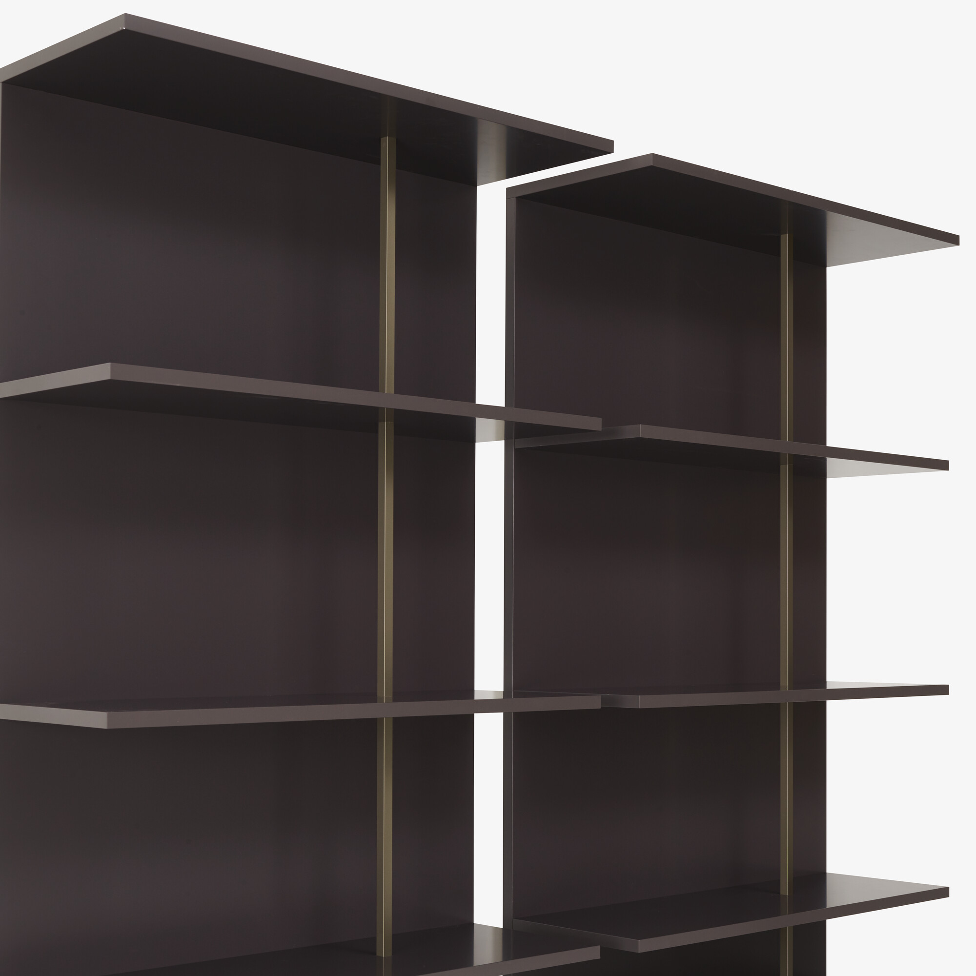 Image Bookcase with chest  3