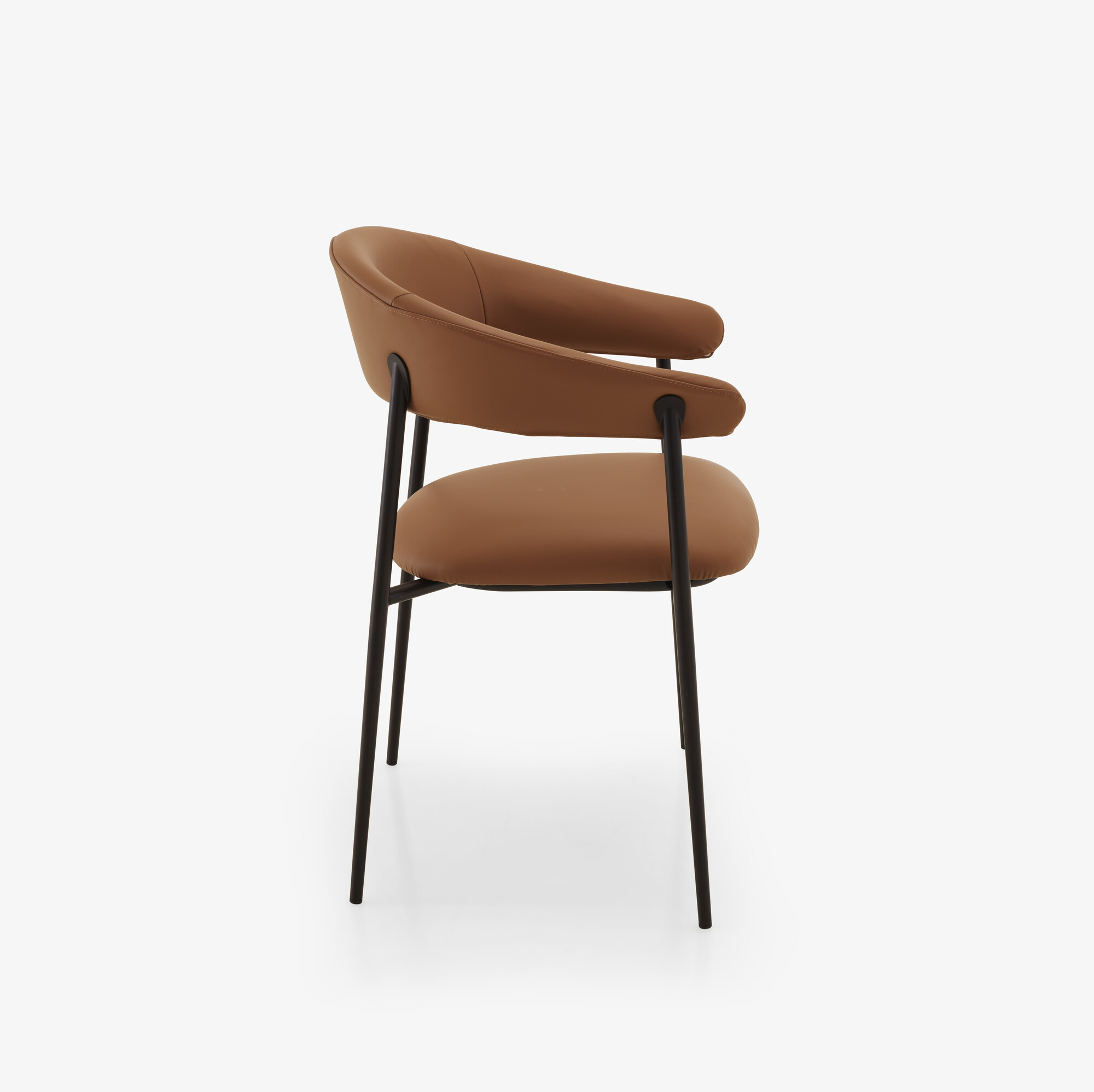 Image Chair with arms skiaccio  4