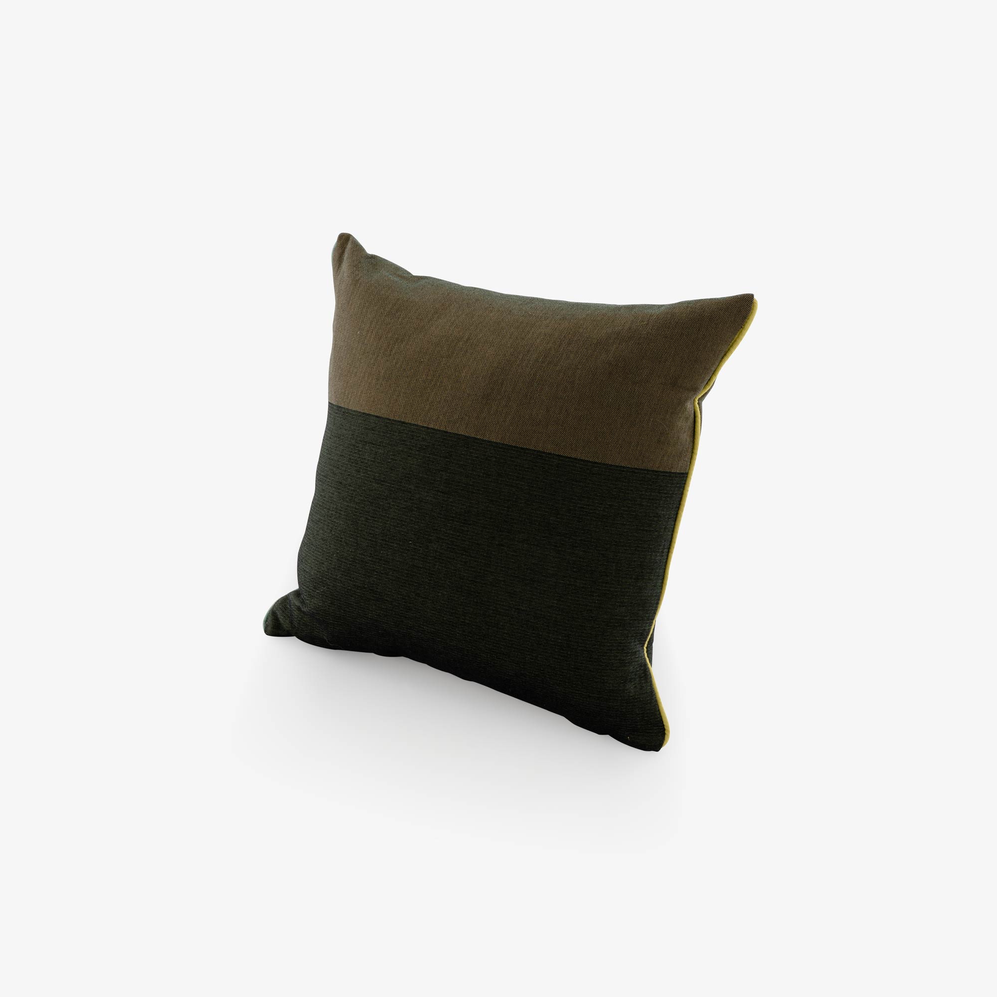 Image Cushion kaki / vert  1