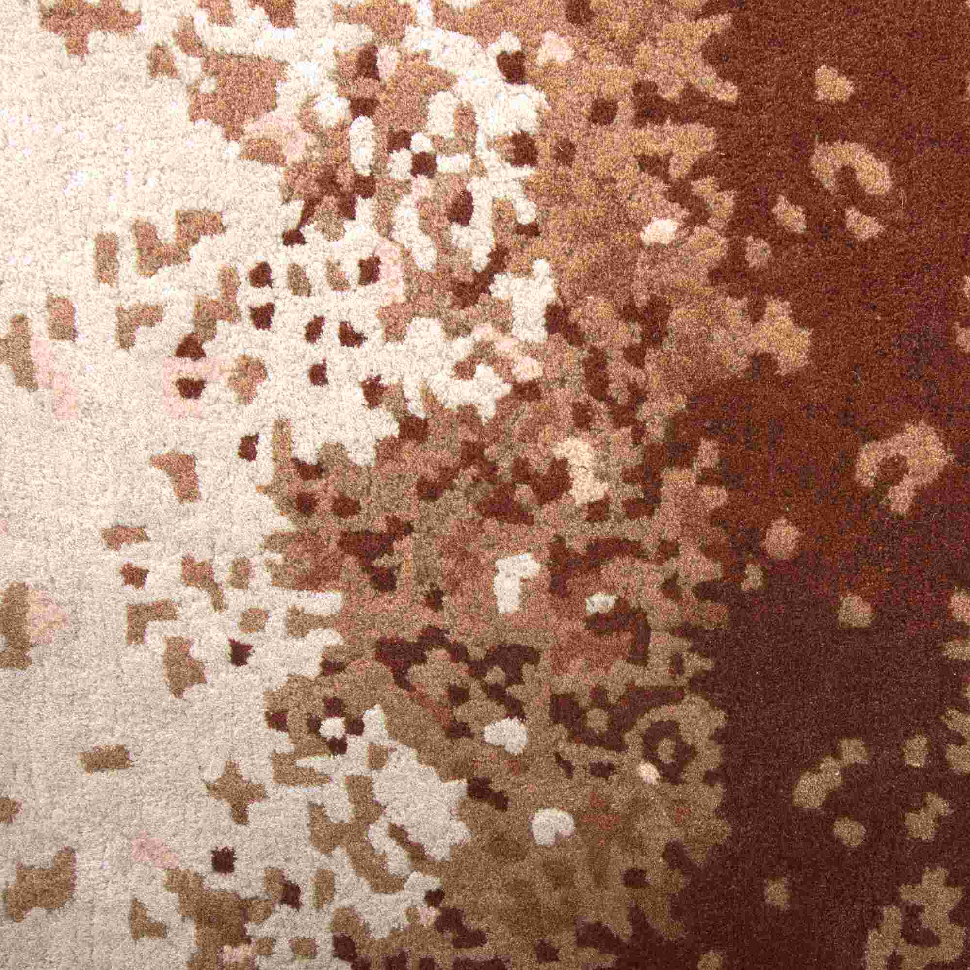 Image Tapis   2