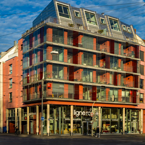 Imagen de la tienda Ligne Roset