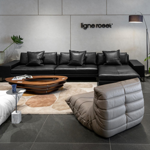 Imagen de la tienda LIGNE ROSET gallery