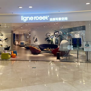 Imagen de la tienda HARBIN HAIPENG TRADING
