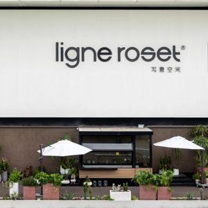 Imagen de la tienda XIAMEN XIJUE CULTURE