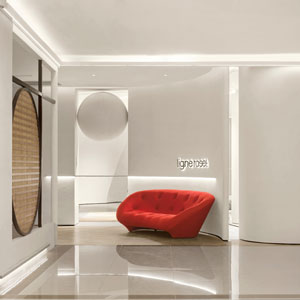 Imagen de la tienda Chongqing Ligne Roset
